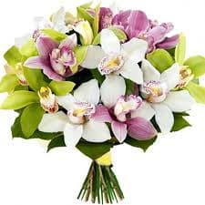 woocommerce 1131 - Image 1